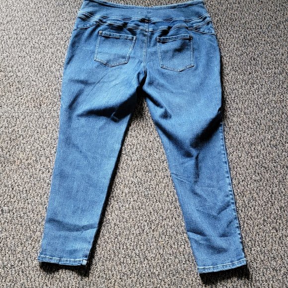 DG2 by Diane Gilman Light Wash Stretch Jeggings Size 1X - Picture 12 of 13